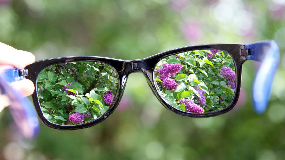 High-Power Prismatic Glasses Can Expand Visual Fields up to 30